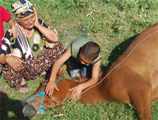 Böyle bir iğrençlik görülmedi